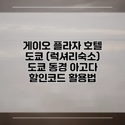 게이오 플라자 호텔 도쿄 (럭셔리숙소) 도쿄 동경 아고다 할인코드 활용법