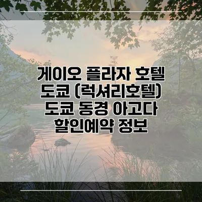 게이오 플라자 호텔 도쿄 (럭셔리호텔) 도쿄 동경 아고다 할인예약 정보