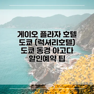 게이오 플라자 호텔 도쿄 (럭셔리호텔) 도쿄 동경 아고다 할인예약 팁