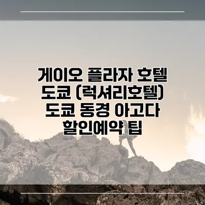 게이오 플라자 호텔 도쿄 (럭셔리호텔) 도쿄 동경 아고다 할인예약 팁