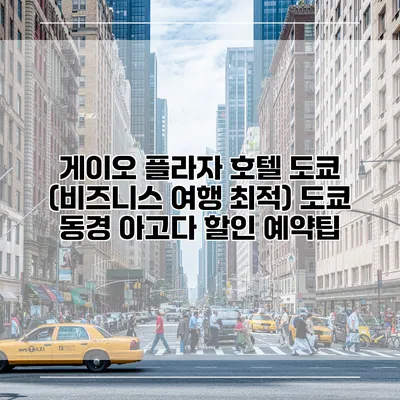 게이오 플라자 호텔 도쿄 (비즈니스 여행 최적) 도쿄 동경 아고다 할인 예약팁