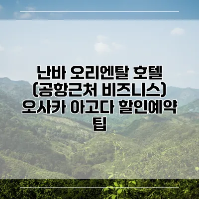 난바 오리엔탈 호텔 (공항근처 비즈니스) 오사카 아고다 할인예약 팁