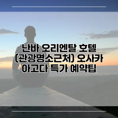 난바 오리엔탈 호텔 (관광명소근처) 오사카 아고다 특가 예약팁