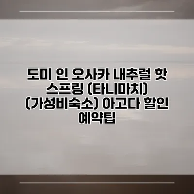 도미 인 오사카 내추럴 핫 스프링 (타니마치) (가성비숙소) 아고다 할인 예약팁