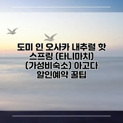 도미 인 오사카 내추럴 핫 스프링 (타니마치) (가성비숙소) 아고다 할인예약 꿀팁