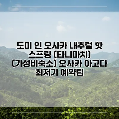 도미 인 오사카 내추럴 핫 스프링 (타니마치) (가성비숙소) 오사카 아고다 최저가 예약팁