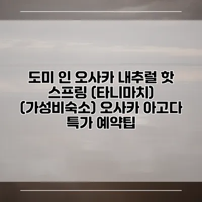 도미 인 오사카 내추럴 핫 스프링 (타니마치) (가성비숙소) 오사카 아고다 특가 예약팁