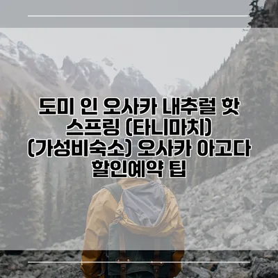 도미 인 오사카 내추럴 핫 스프링 (타니마치) (가성비숙소) 오사카 아고다 할인예약 팁