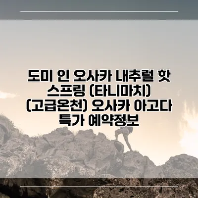 도미 인 오사카 내추럴 핫 스프링 (타니마치) (고급온천) 오사카 아고다 특가 예약정보