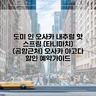도미 인 오사카 내추럴 핫 스프링 (타니마치) (공항근처) 오사카 아고다 할인 예약가이드