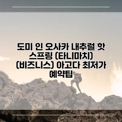 도미 인 오사카 내추럴 핫 스프링 (타니마치) (비즈니스) 아고다 최저가 예약팁