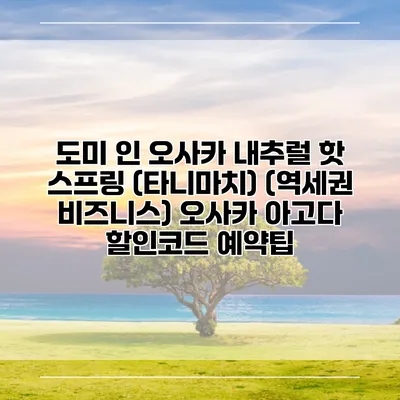 도미 인 오사카 내추럴 핫 스프링 (타니마치) (역세권 비즈니스) 오사카 아고다 할인코드 예약팁