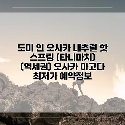 도미 인 오사카 내추럴 핫 스프링 (타니마치) (역세권) 오사카 아고다 최저가 예약정보
