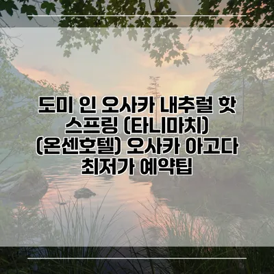 도미 인 오사카 내추럴 핫 스프링 (타니마치) (온센호텔) 오사카 아고다 최저가 예약팁