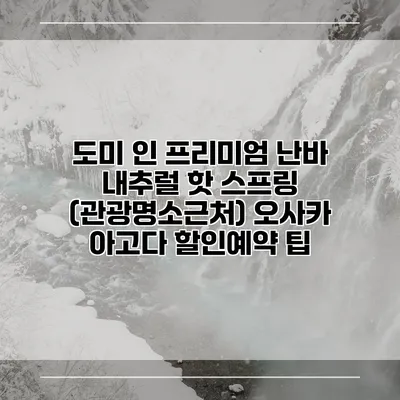 도미 인 프리미엄 난바 내추럴 핫 스프링 (관광명소근처) 오사카 아고다 할인예약 팁