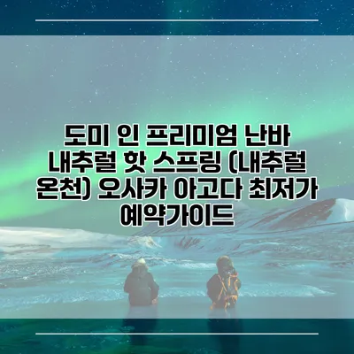도미 인 프리미엄 난바 내추럴 핫 스프링 (내추럴 온천) 오사카 아고다 최저가 예약가이드