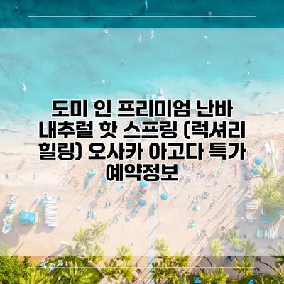 도미 인 프리미엄 난바 내추럴 핫 스프링 (럭셔리 힐링) 오사카 아고다 특가 예약정보