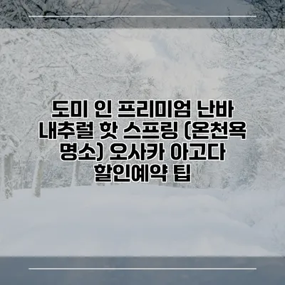 도미 인 프리미엄 난바 내추럴 핫 스프링 (온천욕 명소) 오사카 아고다 할인예약 팁
