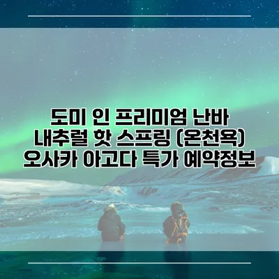 도미 인 프리미엄 난바 내추럴 핫 스프링 (온천욕) 오사카 아고다 특가 예약정보