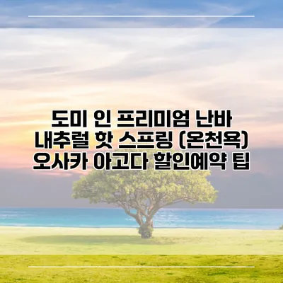 도미 인 프리미엄 난바 내추럴 핫 스프링 (온천욕) 오사카 아고다 할인예약 팁