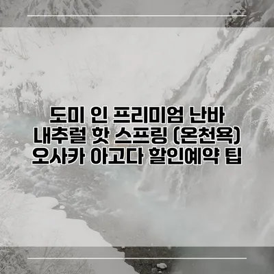 도미 인 프리미엄 난바 내추럴 핫 스프링 (온천욕) 오사카 아고다 할인예약 팁