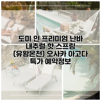 도미 인 프리미엄 난바 내추럴 핫 스프링 (유황온천) 오사카 아고다 특가 예약정보