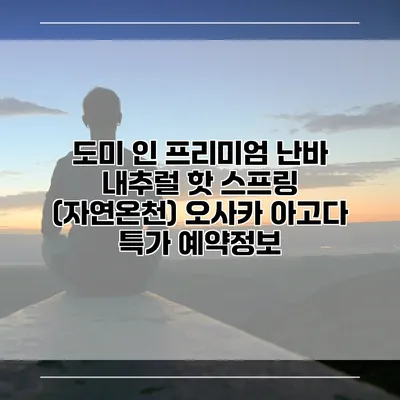 도미 인 프리미엄 난바 내추럴 핫 스프링 (자연온천) 오사카 아고다 특가 예약정보