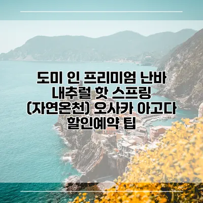 도미 인 프리미엄 난바 내추럴 핫 스프링 (자연온천) 오사카 아고다 할인예약 팁