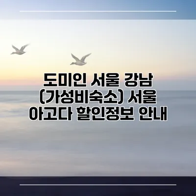 도미인 서울 강남 (가성비숙소) 서울 아고다 할인정보 안내