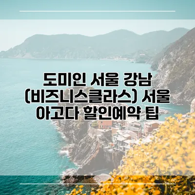 도미인 서울 강남 (비즈니스클라스) 서울 아고다 할인예약 팁