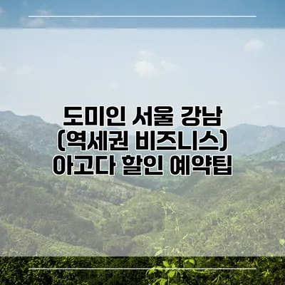 도미인 서울 강남 (역세권 비즈니스) 아고다 할인 예약팁
