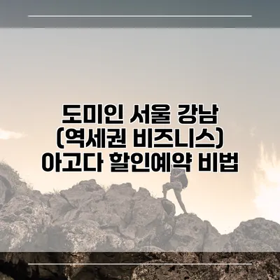 도미인 서울 강남 (역세권 비즈니스) 아고다 할인예약 비법