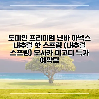 도미인 프리미엄 난바 아넥스 내추럴 핫 스프링 (내추럴 스프링) 오사카 아고다 특가 예약팁