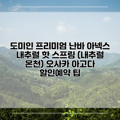 도미인 프리미엄 난바 아넥스 내추럴 핫 스프링 (내추럴 온천) 오사카 아고다 할인예약 팁