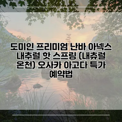 도미인 프리미엄 난바 아넥스 내추럴 핫 스프링 (내츄럴 온천) 오사카 아고다 특가 예약법