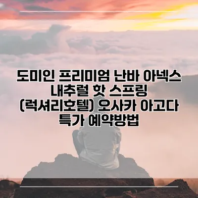 도미인 프리미엄 난바 아넥스 내추럴 핫 스프링 (럭셔리호텔) 오사카 아고다 특가 예약방법