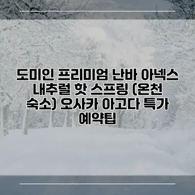 도미인 프리미엄 난바 아넥스 내추럴 핫 스프링 (온천 숙소) 오사카 아고다 특가 예약팁