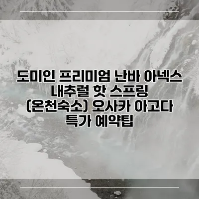 도미인 프리미엄 난바 아넥스 내추럴 핫 스프링 (온천숙소) 오사카 아고다 특가 예약팁