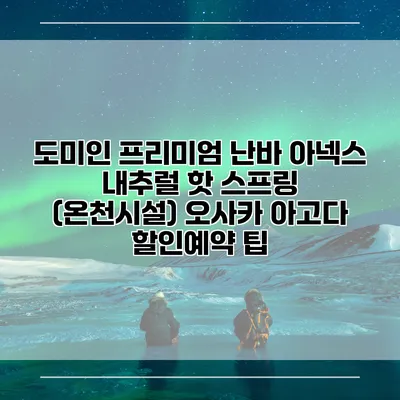 도미인 프리미엄 난바 아넥스 내추럴 핫 스프링 (온천시설) 오사카 아고다 할인예약 팁