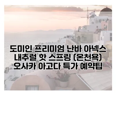 도미인 프리미엄 난바 아넥스 내추럴 핫 스프링 (온천욕) 오사카 아고다 특가 예약팁