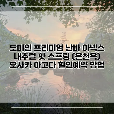 도미인 프리미엄 난바 아넥스 내추럴 핫 스프링 (온천욕) 오사카 아고다 할인예약 방법