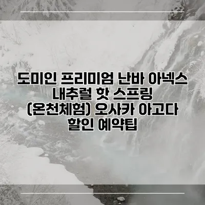 도미인 프리미엄 난바 아넥스 내추럴 핫 스프링 (온천체험) 오사카 아고다 할인 예약팁