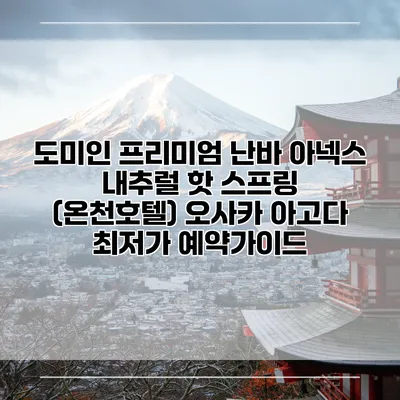 도미인 프리미엄 난바 아넥스 내추럴 핫 스프링 (온천호텔) 오사카 아고다 최저가 예약가이드