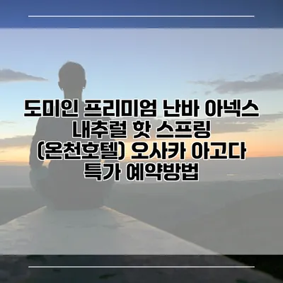 도미인 프리미엄 난바 아넥스 내추럴 핫 스프링 (온천호텔) 오사카 아고다 특가 예약방법