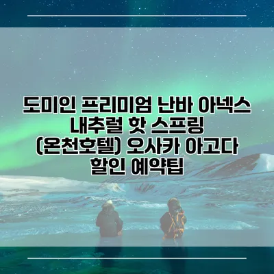 도미인 프리미엄 난바 아넥스 내추럴 핫 스프링 (온천호텔) 오사카 아고다 할인 예약팁