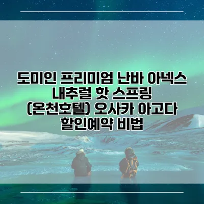 도미인 프리미엄 난바 아넥스 내추럴 핫 스프링 (온천호텔) 오사카 아고다 할인예약 비법