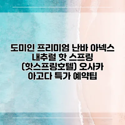도미인 프리미엄 난바 아넥스 내추럴 핫 스프링 (핫스프링호텔) 오사카 아고다 특가 예약팁