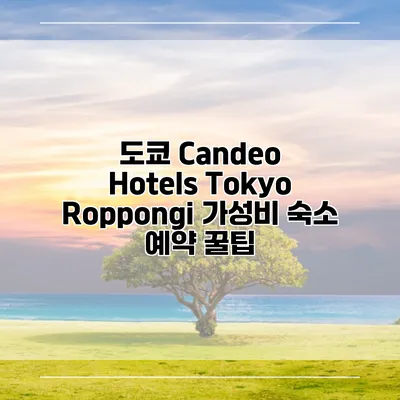 도쿄 Candeo Hotels Tokyo Roppongi 가성비 숙소 예약 꿀팁