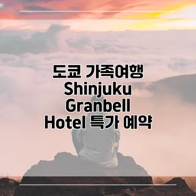 도쿄 가족여행 Shinjuku Granbell Hotel 특가 예약