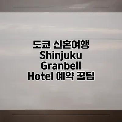 도쿄 신혼여행 Shinjuku Granbell Hotel 예약 꿀팁